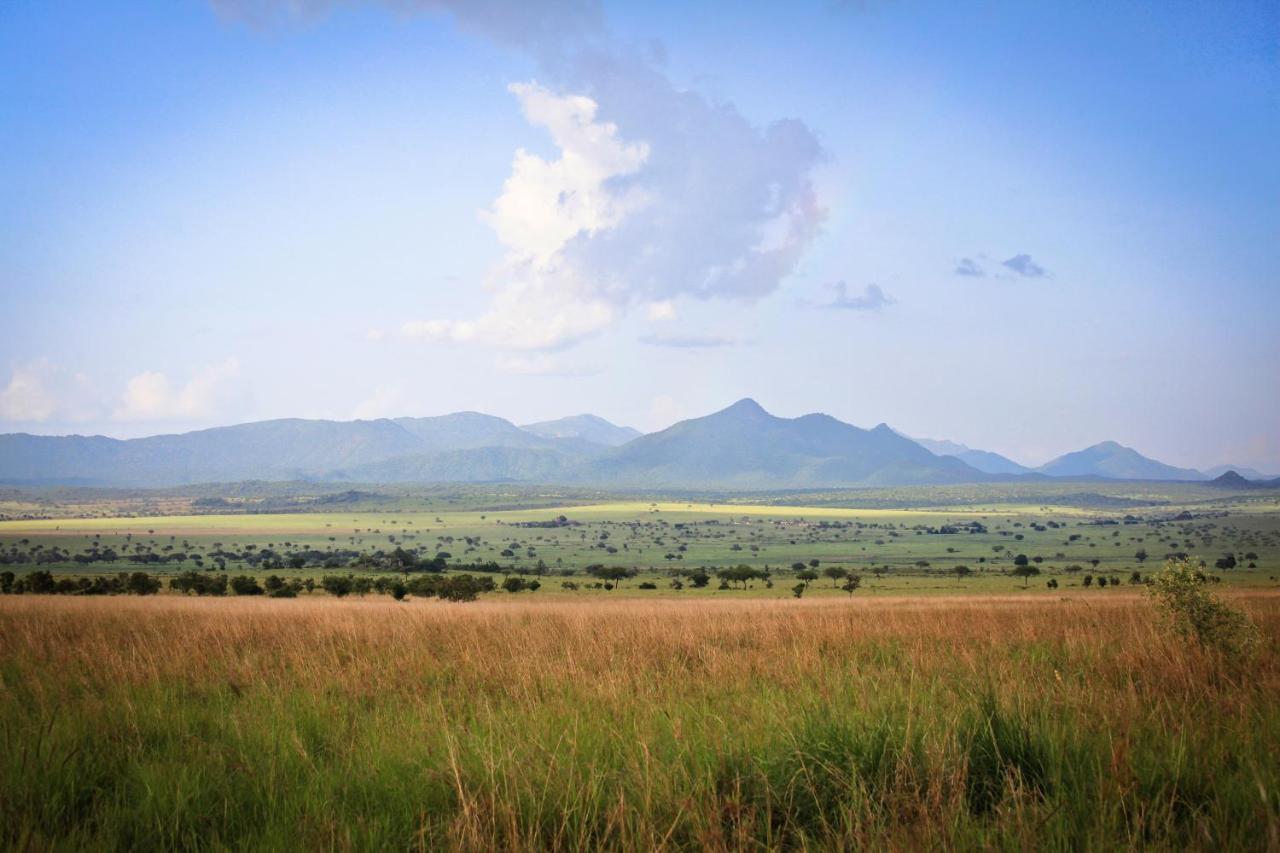 Apoka Safari Lodge Loitanit Exteriér fotografie